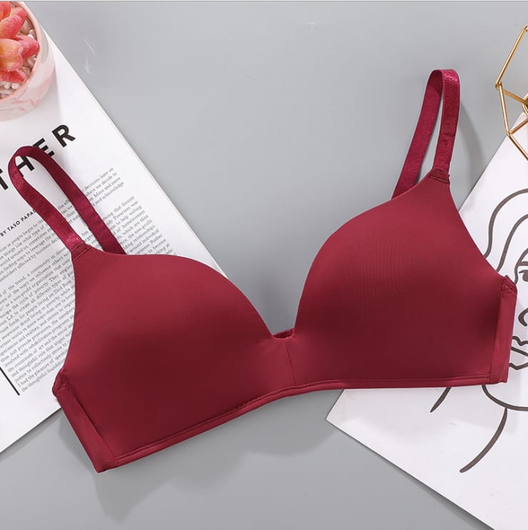 3/4 Cup Soft & Light Padded Dally Wear T-Shirt Bra