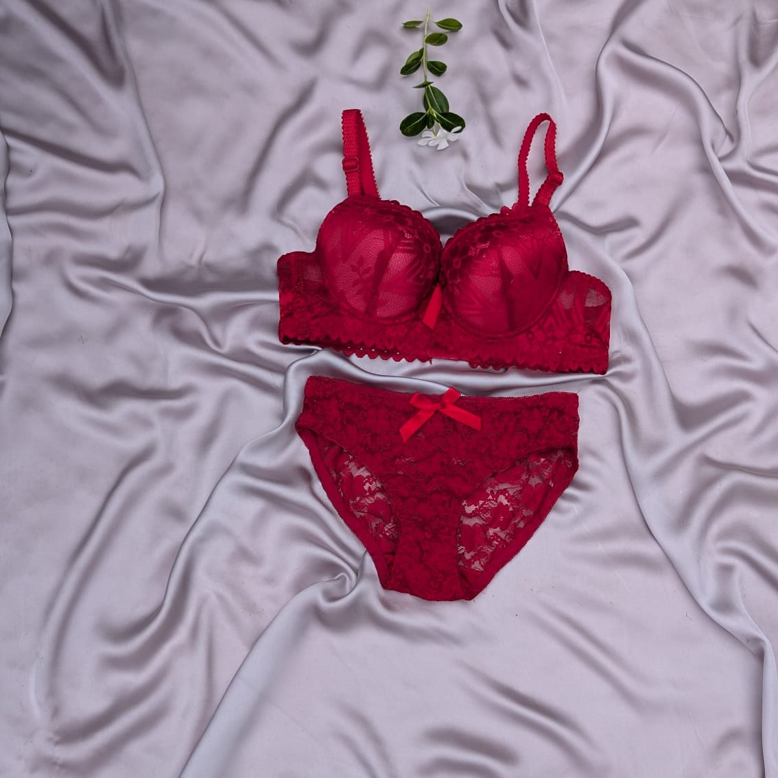 Pushup Wired Bridal/Daily Wear Net Bra Set